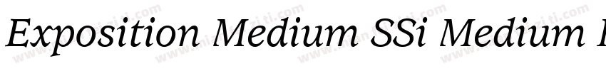 Exposition Medium SSi Medium Italic字体转换